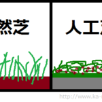 ジャニーズ大運動会での芝毟り事件が話題だが東京ドームの人工芝は・・・