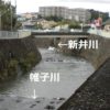 【新井川】を全部歩いてみた【帷子川分水路トンネル】